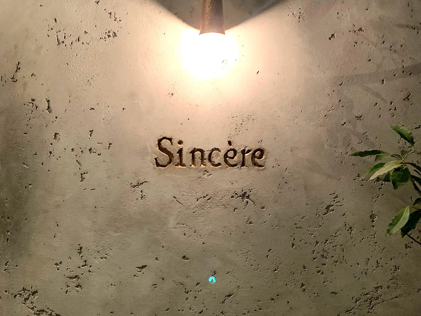 sincereの店舗写真